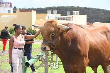 El Valle de los Nueve Alto celebra el día grande de sus fiestas patronales/Francisco Javier Santana.